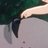 りんごりらのアイコン
