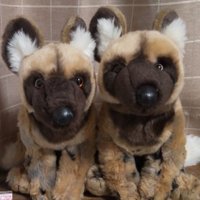犬子@取引用 (@wanko_trhk) 's Twitter Profile