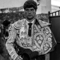 pedro gallego (@peegallego) 's Twitter Profile