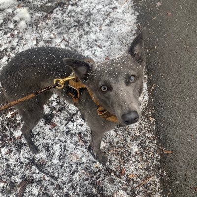 RyWinfield's profile picture. 