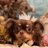 ohchoco0531's profile image