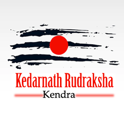 Best Place to Buy Rudraksha Beads / Mala / Bracelets at Best Price from Govt Certified Lab Rudraksha Online Shop. https://t.co/IIABaS4V1Y ,+918146057190