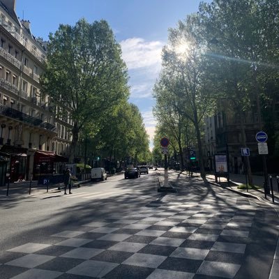 arielleshh's profile picture. 