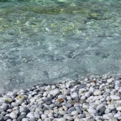 WEW8NAcZcXn9VLi's profile picture. 赴くままに