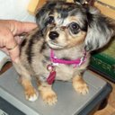 bill lipscomb - @billwhatnots - Twitter