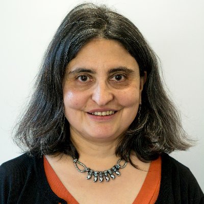 Prof Lyla Mehta Profile