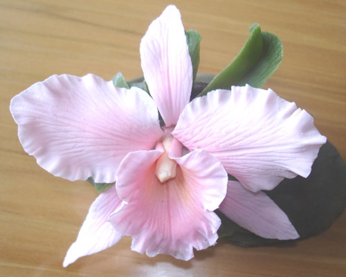 supersadovod's profile picture. Люблю цветы и комнатные растения. Занимаюсь выращиванием фиалок и орхидей. Пытаюсь вывести новые сорта. Подбираю самые подходящие субстраты и удобрения.