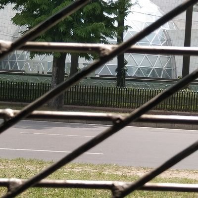 AnowarS77382326's profile picture. Business