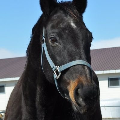 kyomusan's profile picture. 