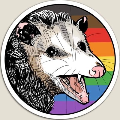 Vmoさんのプロフィール画像