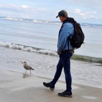 DocHarry (@docharry08) 's Twitter Profile
