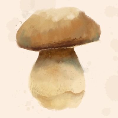 RaquelWst's profile picture. Nunca real y siempre verdadero