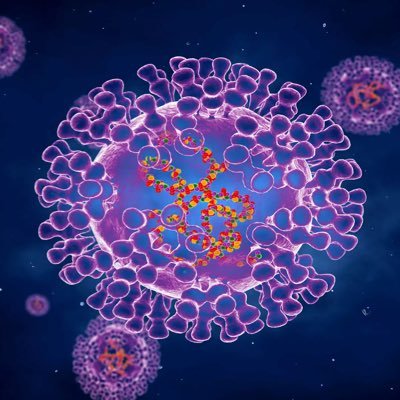 Live updates on the Monkeypox outbreak and case count around the world 🌎