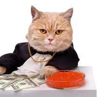 Topcat(@TradingCatman) 's Twitter Profile Photo