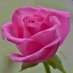 Fida Noor (@fidanoor26) Twitter profile photo Fida Noor (@fidanoor26) Twitter profile photo