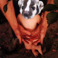 ABadgerNamedGoo (@cactusbadger1) 's Twitter Profile