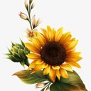 Gisell Betsabé López Martínez - @GisellBetsabe - Twitter