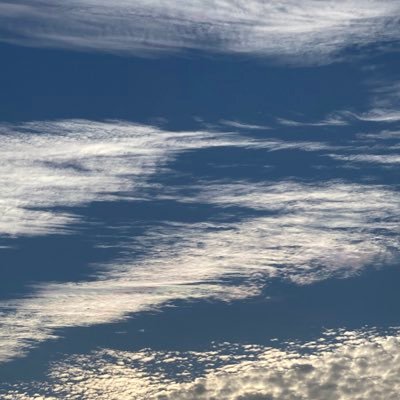 rsry525's profile picture. 好きなものを好きなだけ摂取するためのアカウント。　 無言フォロー失礼致します