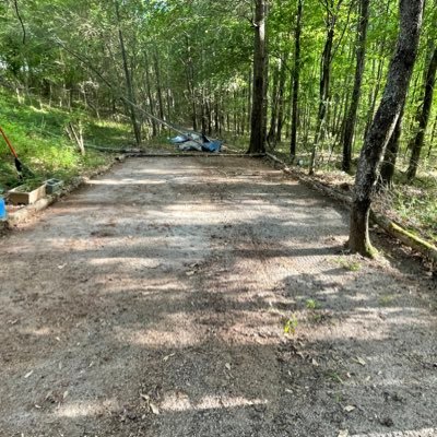 thelilochacon's profile picture. 