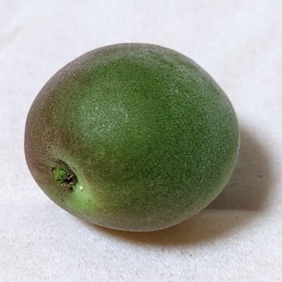 そふぁ豆さんのプロフィール画像