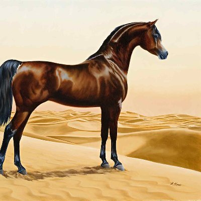 IslingtonSystem's profile picture. ゲームプログラマー、もといシステムプログラマーを担当しています。競馬とウマ娘とF1とシミュレーションゲームが好きです。よかったら、作品を見ていってください。