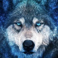 Samy 🦋 (@samynespoli) 's Twitter Profile Photo