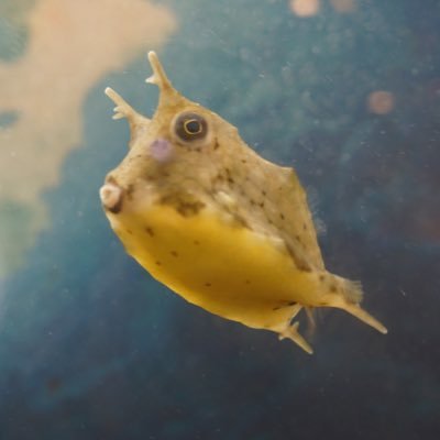 ntej82327's profile picture. nobody