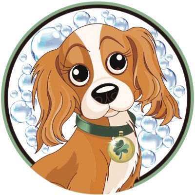 ⭐️⭐️⭐️⭐️⭐️ Clover’s Car & Dog Wash, the only Google 5-star rated car and dog wash in Thornton, the surrounding areas, and the state of Colorado. See you Soon!