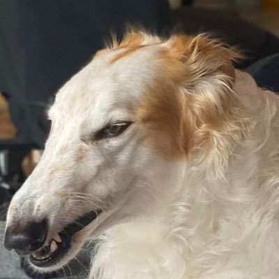 archim_bold's profile picture. deep tech VC @elaia_partners / skieur de pente raide