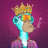 par (@paredao9) 's Twitter Profile Photo par (@paredao9) 's Twitter Profile Photo