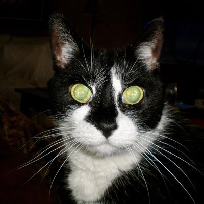 caj21's profile picture. 