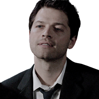 formultimuses's profile picture. ⠀