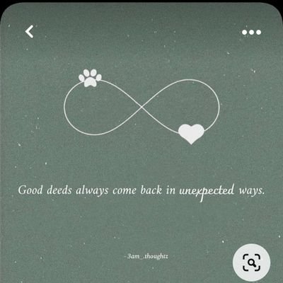 zerogravitylo's profile picture. 