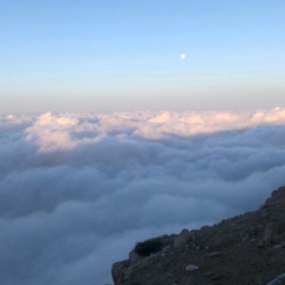 sara109000's profile picture. 