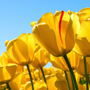 Lisa Ando - @LisaAndo7 - Twitter