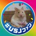 ひーやん@USJ好きのハム飼い主🌱🎬 (@hiiyaann2525) Twitter profile photo