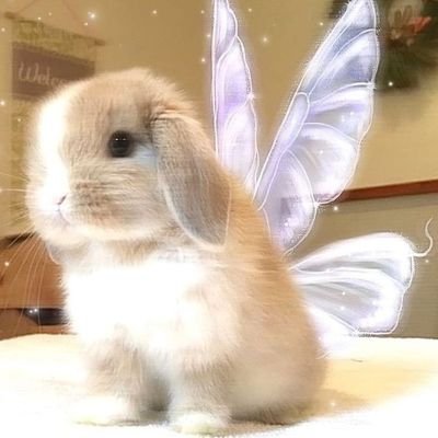 hay_un_mounstro's profile picture. 💖💌Explorando mi mundo ❤️‍🔥Viviendo mi poesía ✨