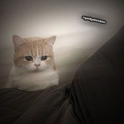 ruyadiyebiriolm's profile picture. Tt: @ruyadiyebiriolmm