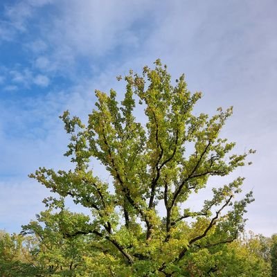 Na wesoło i śmiertelnie poważnie