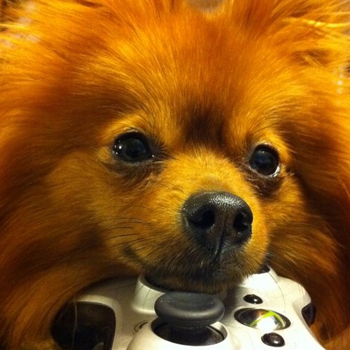 Ruok2rok's profile picture. 