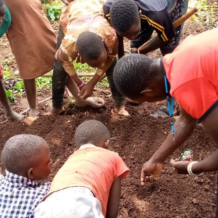 A youth led  NGO that empowers young people to be Brave & Resilient by building their capacity in sustainable & eco-friendly friendly farming practices.