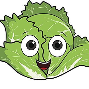 Lactuca sativa, conocida comúnmente como lechuga, es una planta herbácea propia de las regiones semitempladas que se cultiva como alimento. Debido a las muchas