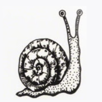 gastropod enthusiast and consumer of pancakes
also on Mastodon @leeourand@ruby.social