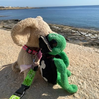 Travel addict plush turtle, German, lives in Malta, loves warm areas and historical places / landscape photos / plush pirate / @bigturtler.bsky.social