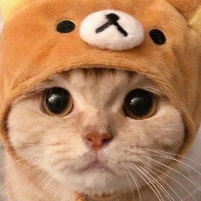 RealKristijanK's profile picture. 