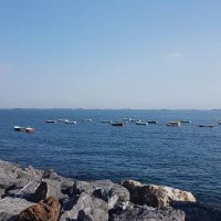 Ümran Vera Satı (@umranvera) 's Twitter Profile