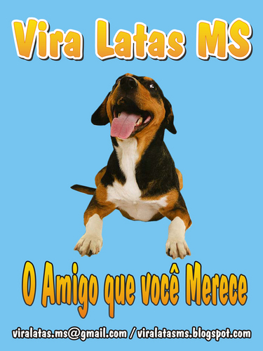 viralatasms's profile picture. Divulgamos animais para adoção em Campo Grande/MS e Dourados/MS. O MUNDO É CADA VEZ MAIS VIRA LATA.