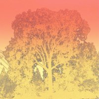 CyberBark (@cyberbarkk) 's Twitter Profile