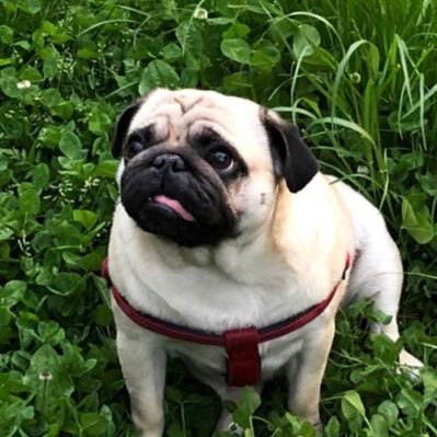 juan (Taylor's Version)