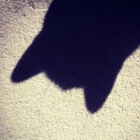 Erika Cavanagh (@ejcav) 's Twitter Profile